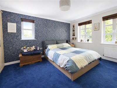 Picture 11